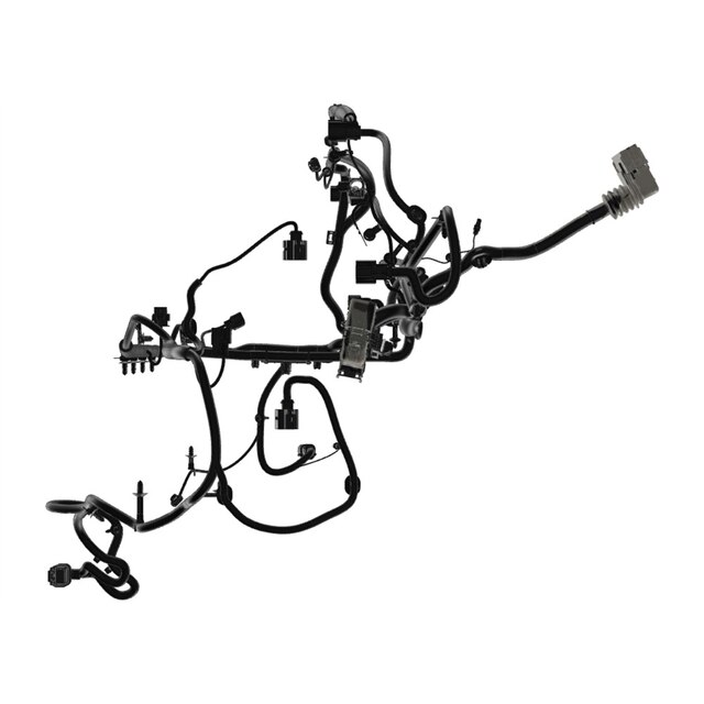 Alternate Image
