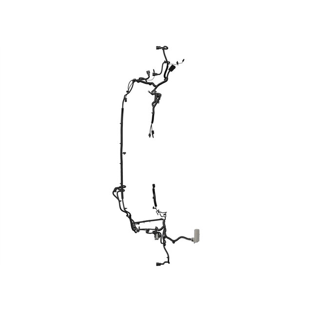 Alternate Image