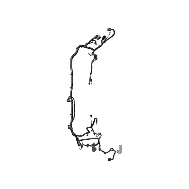 Alternate Image