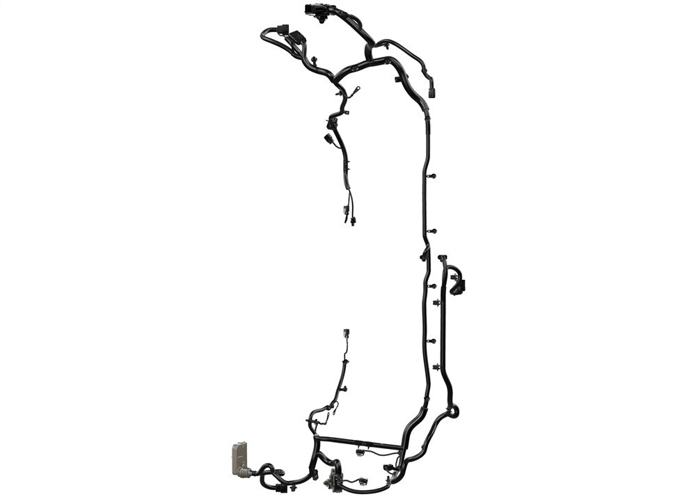 Alternate Image