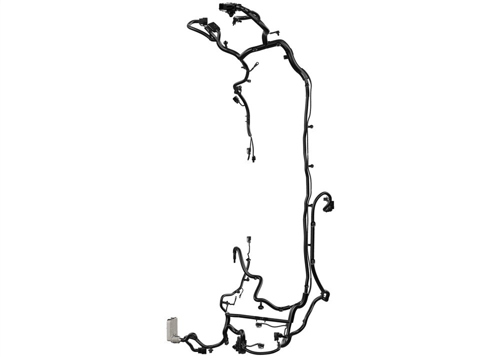 Alternate Image
