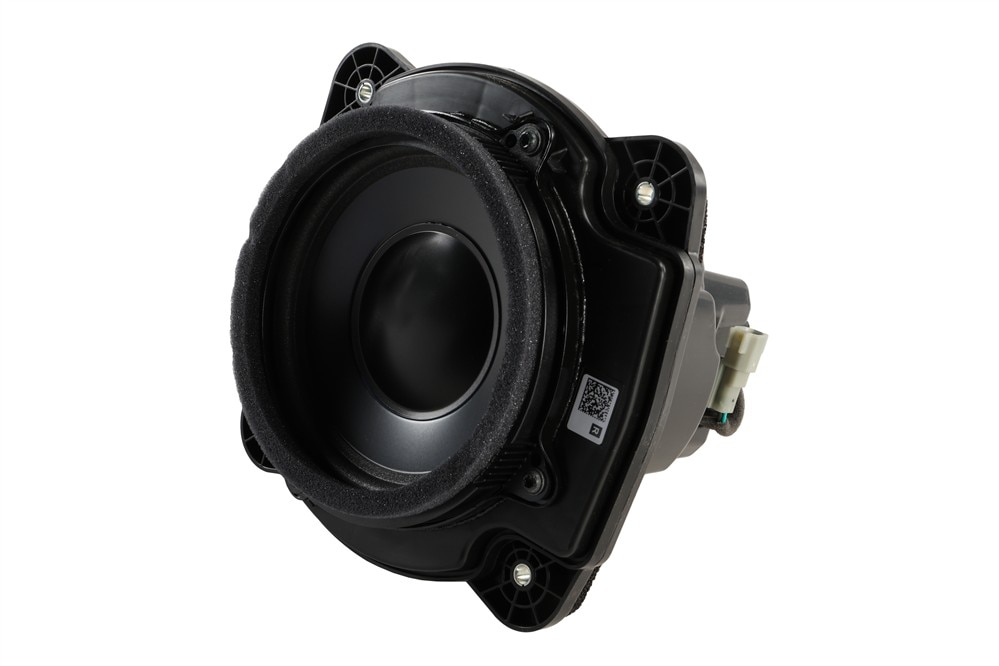 GM Genuine Parts Passenger Side Radio Front Side Door Speaker