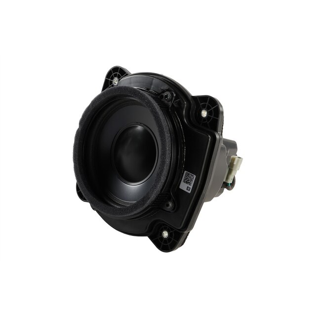 GM Genuine Parts Passenger Side Radio Front Side Door Speaker