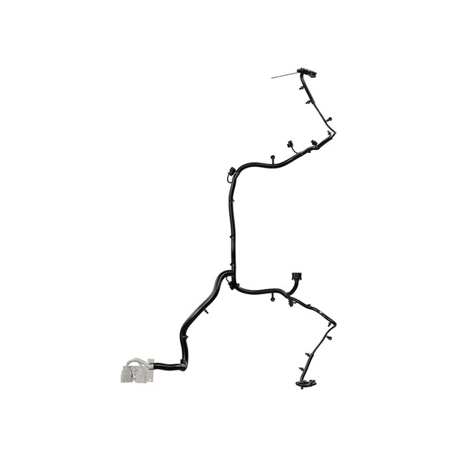 Alternate Image