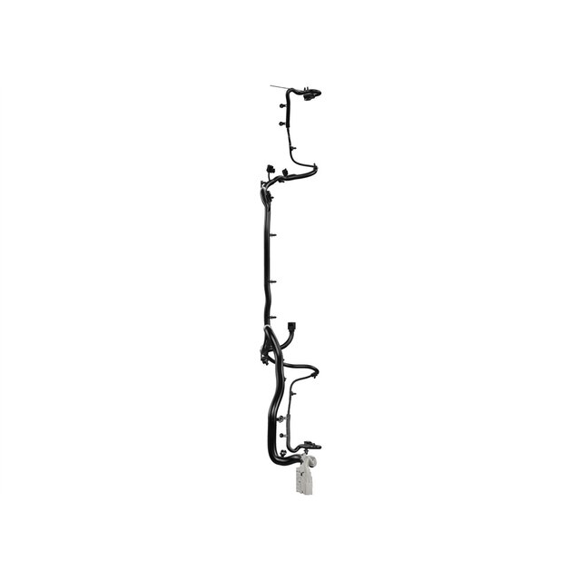 Alternate Image
