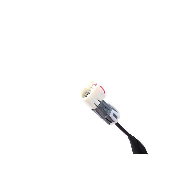 Alternate Image