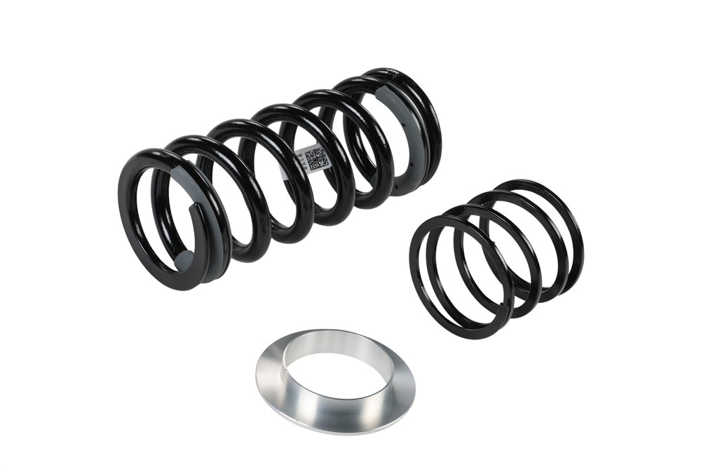 GM Genuine Parts Rear Coil Spring