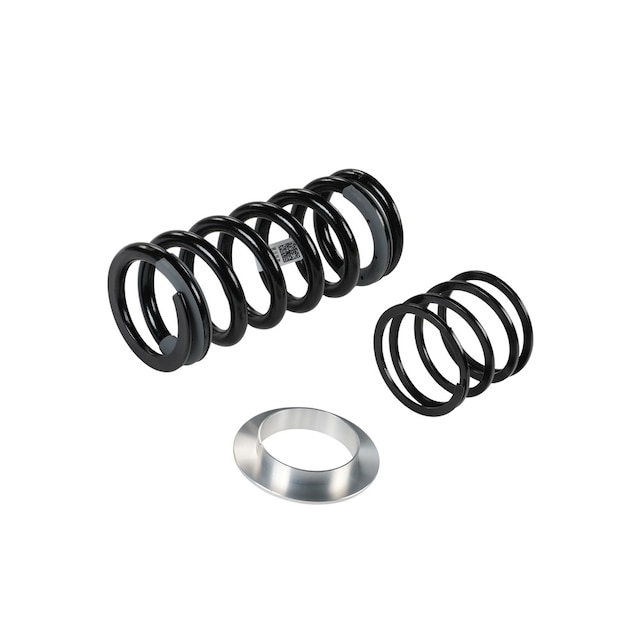 GM Genuine Parts Rear Coil Spring