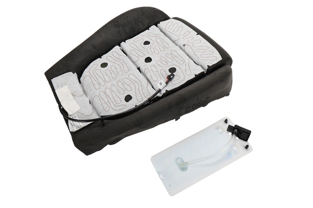 GM Genuine Parts Airbag Front Passenger Presence Module