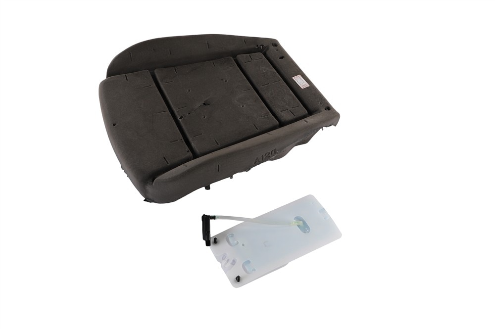 GM Genuine Parts Passenger Side Airbag Front Passenger Presence Module
