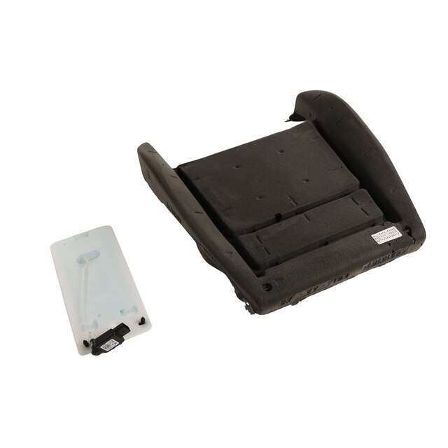 GM Genuine Parts Passenger Side Airbag Front Passenger Presence Module
