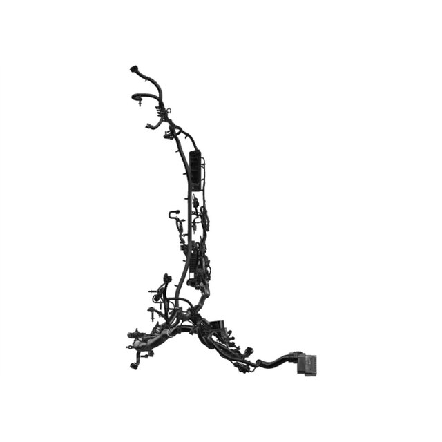Alternate Image