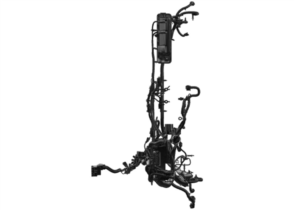 Alternate Image
