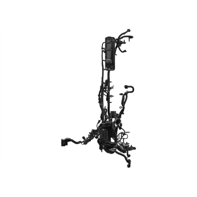 Alternate Image