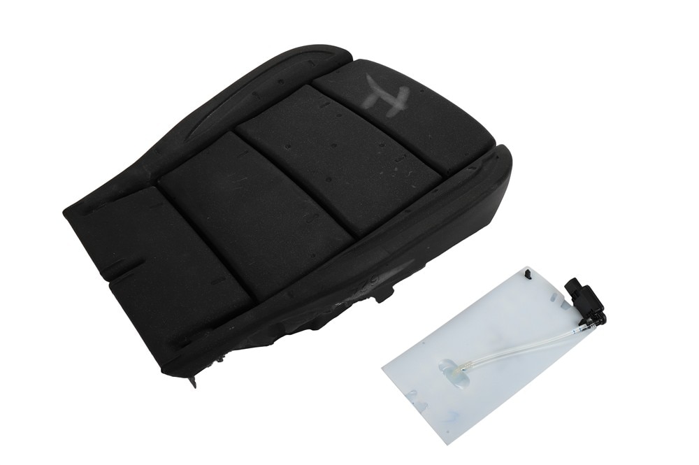 GM Genuine Parts Passenger Side Airbag Front Passenger Presence Module