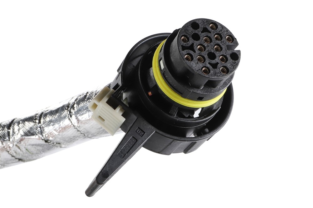 Alternate Image