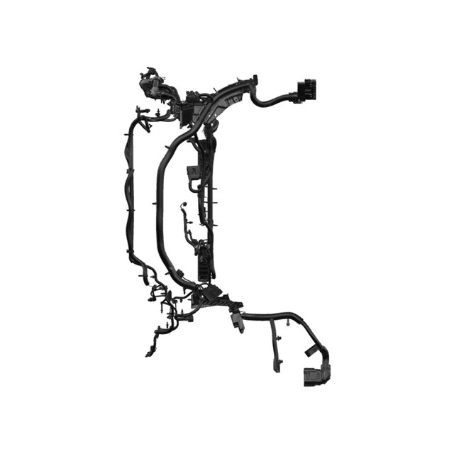 Alternate Image