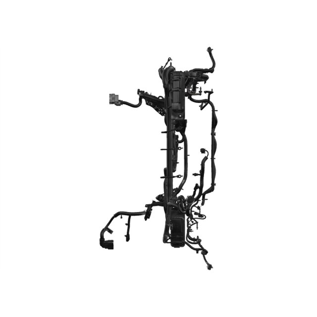 Alternate Image