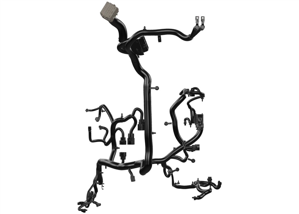 Alternate Image