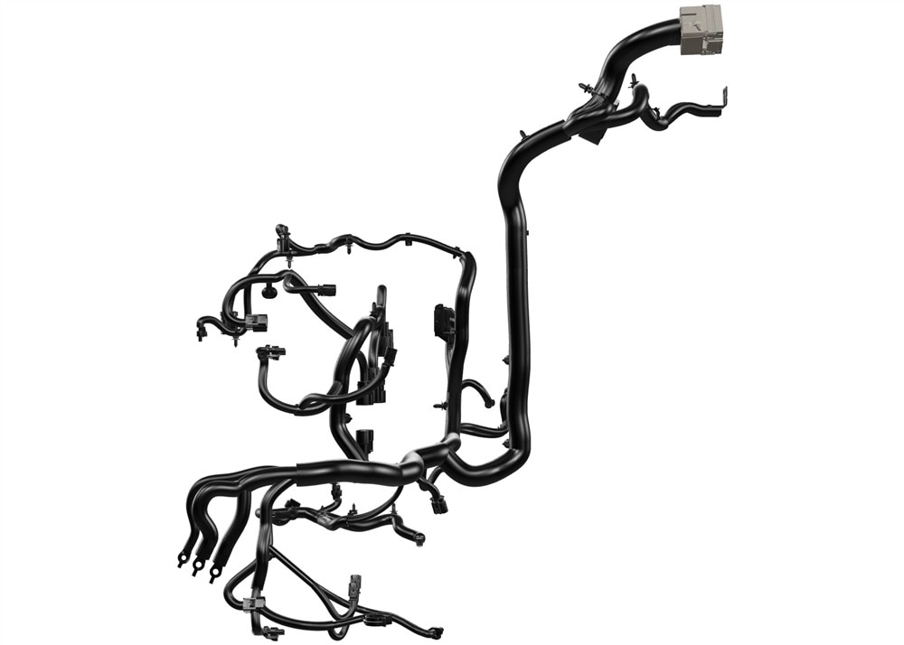 Alternate Image