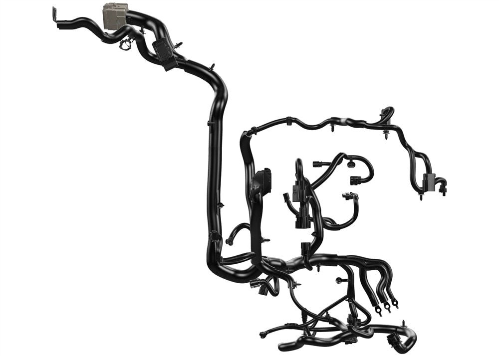 Alternate Image