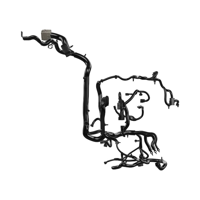 Alternate Image