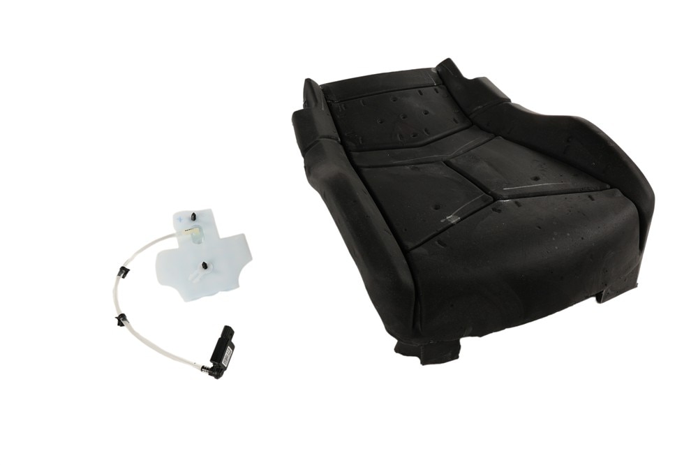 GM Genuine Parts Passenger Side Airbag Front Passenger Presence Module
