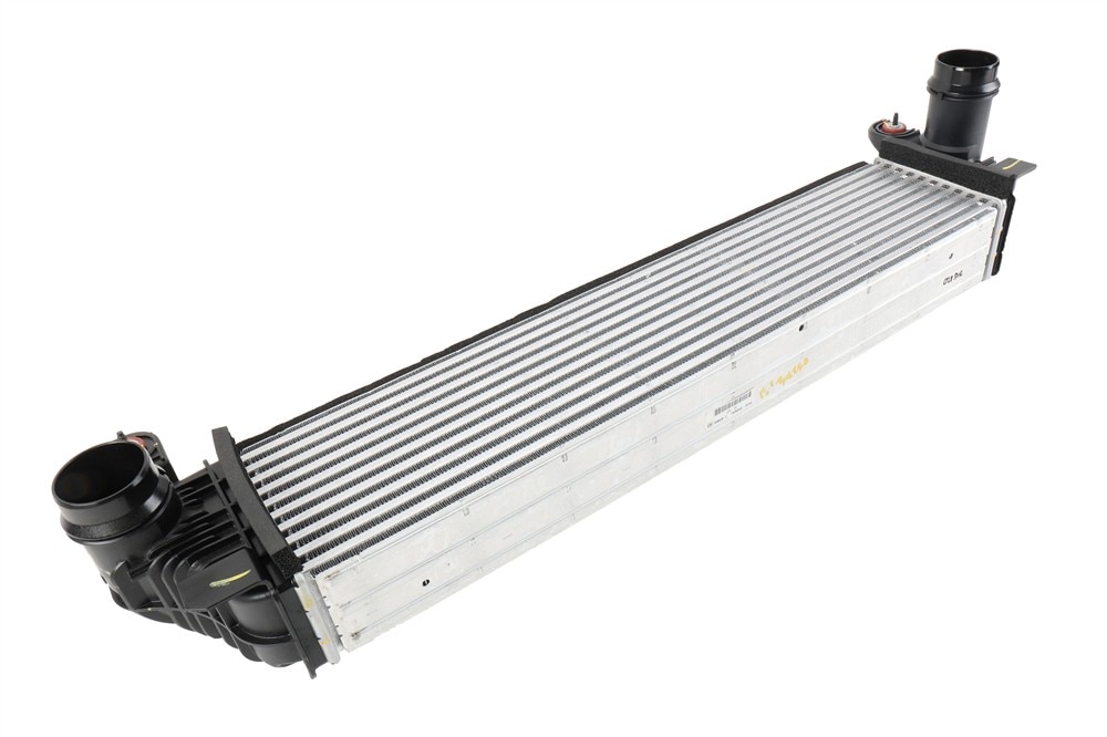 GM Genuine Parts Multi-Purpose Screw