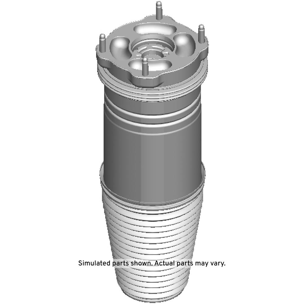 GM Genuine Parts Rear Air Spring