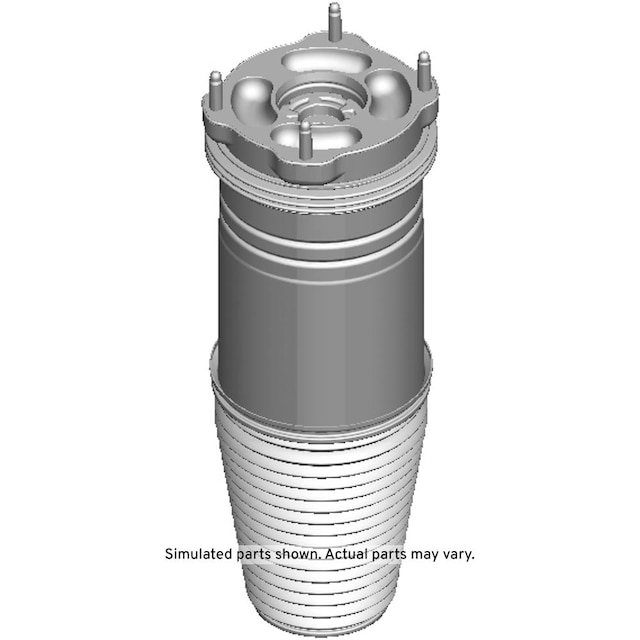 GM Genuine Parts Rear Air Spring
