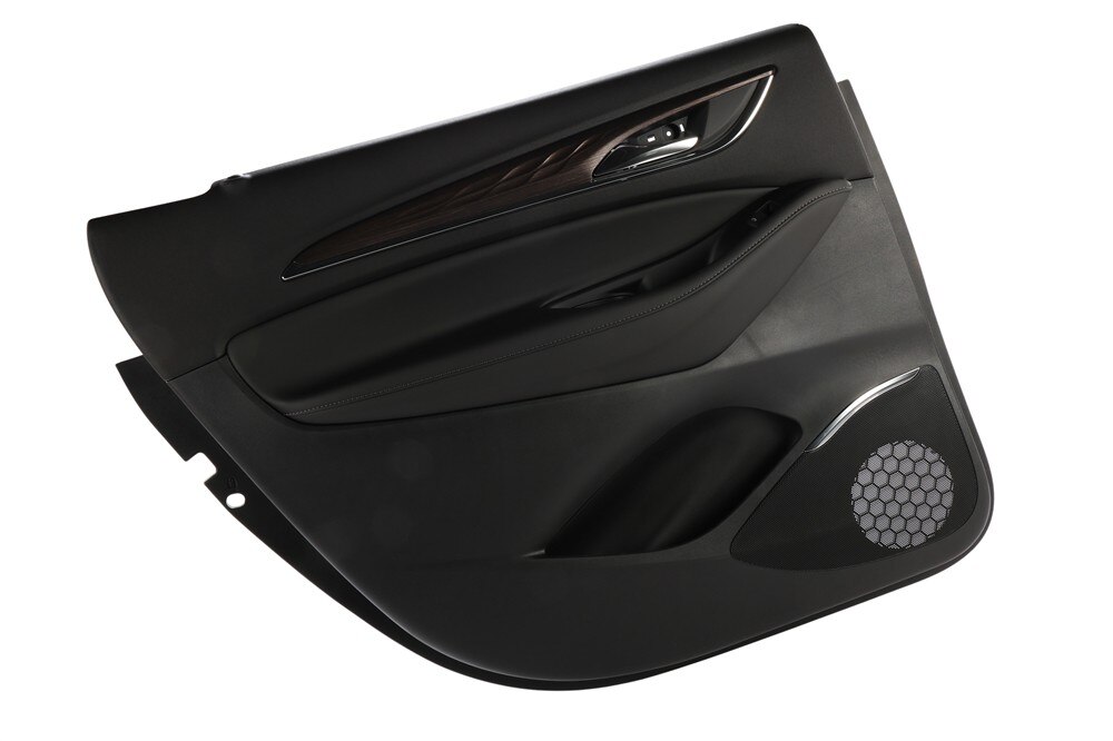 GM Genuine Parts Black Rear Driver Side Door Trim