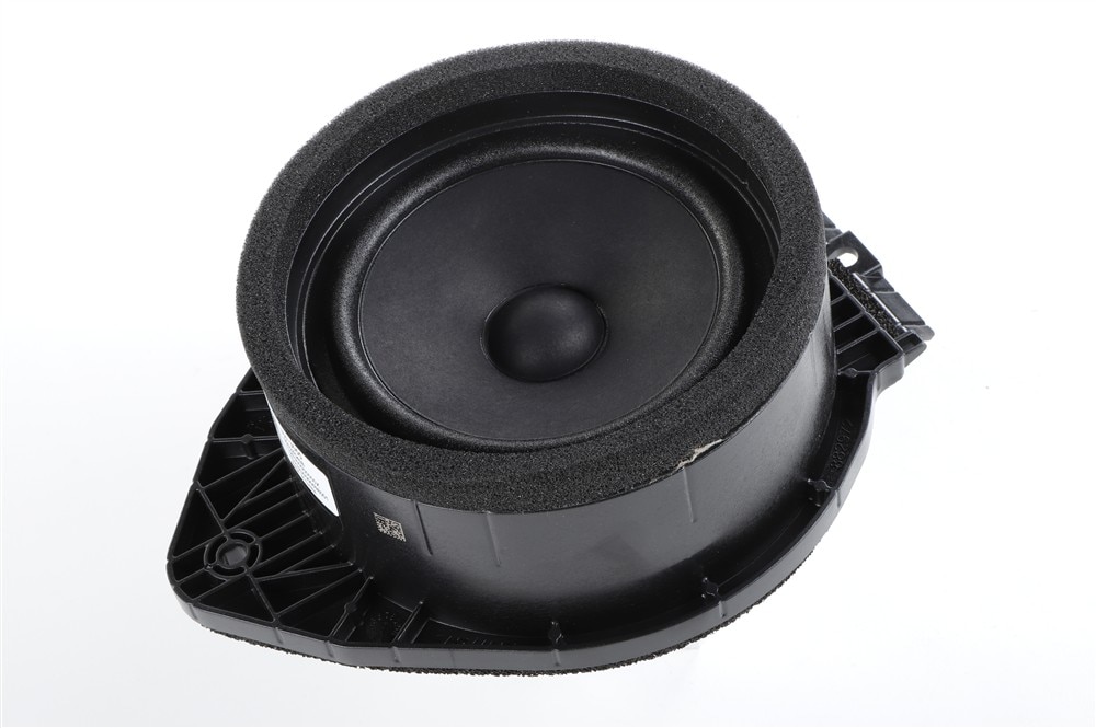 GM Genuine Parts Radio Rear Side Door Speaker