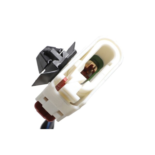 Alternate Image