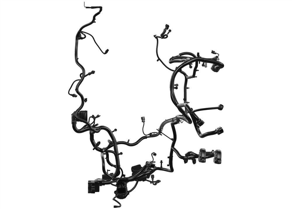 Alternate Image