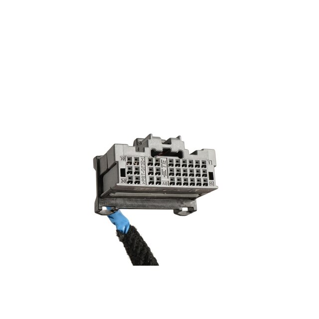 Alternate Image