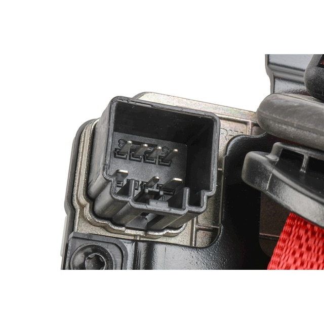 Alternate Image
