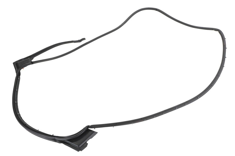 GM Genuine Parts Rear Driver Side Door Weatherstrip