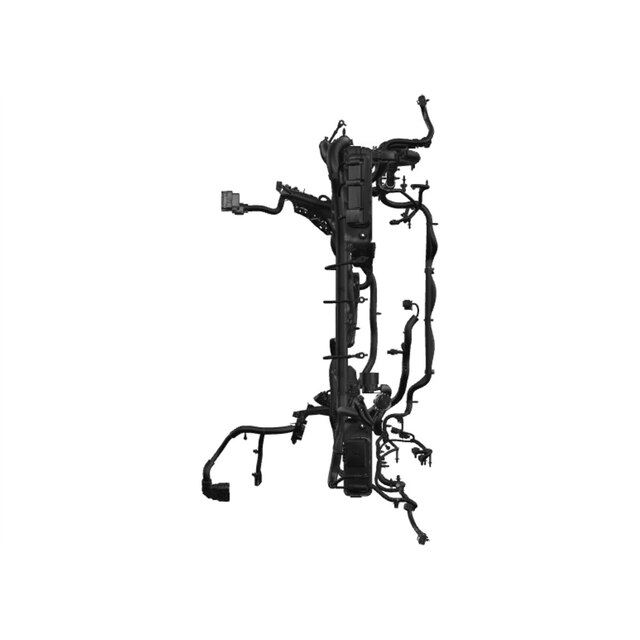 Alternate Image