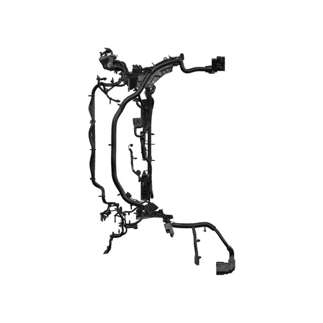 Alternate Image