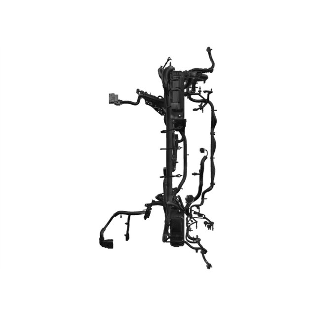 Alternate Image
