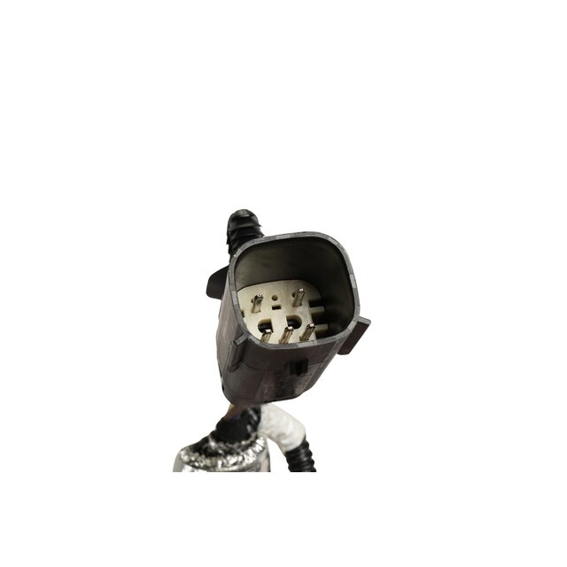 Alternate Image