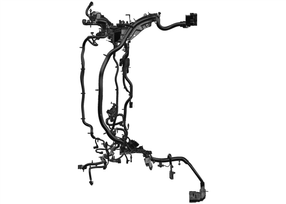 Alternate Image