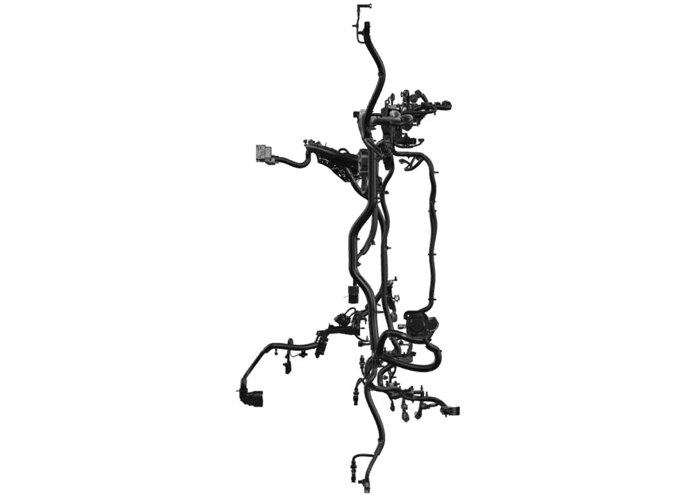 Alternate Image