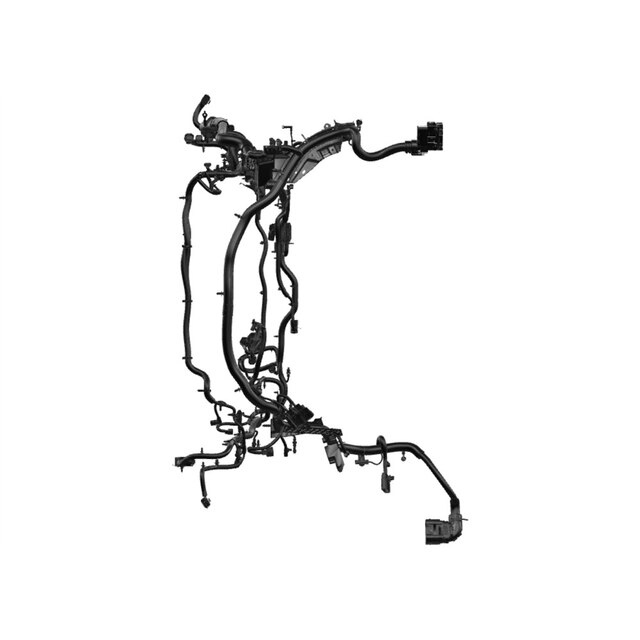 Alternate Image
