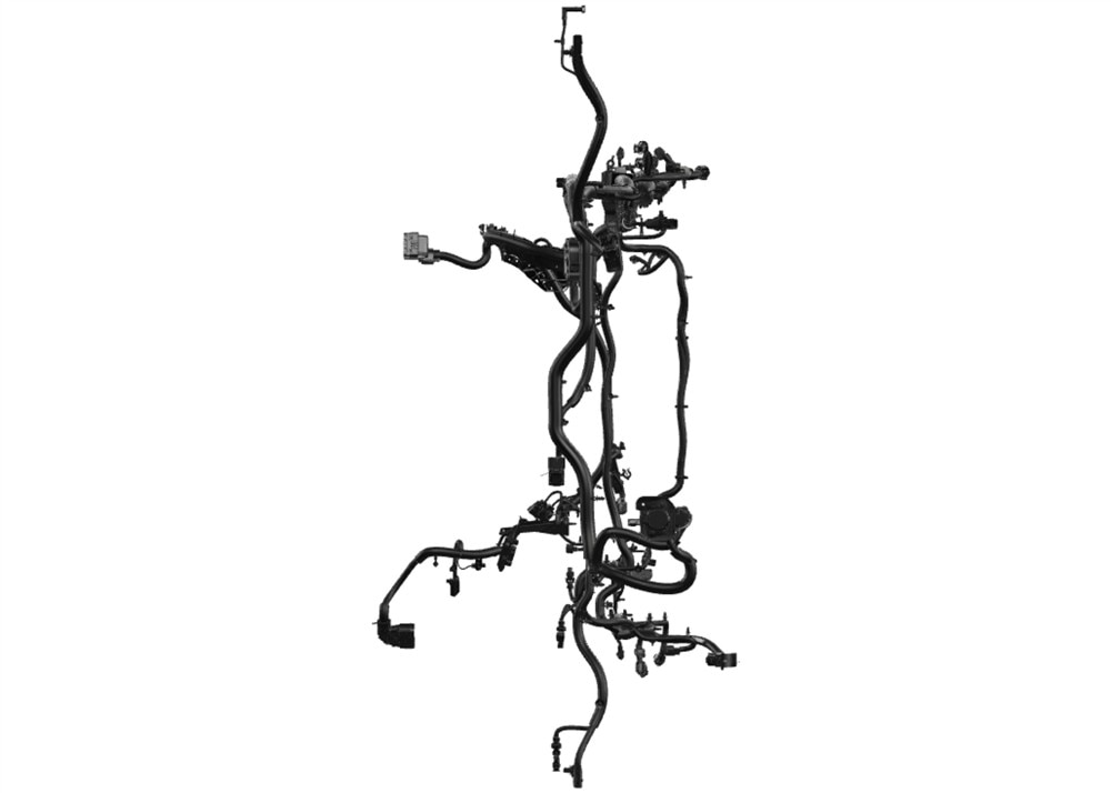 Alternate Image