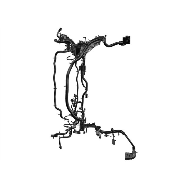Alternate Image