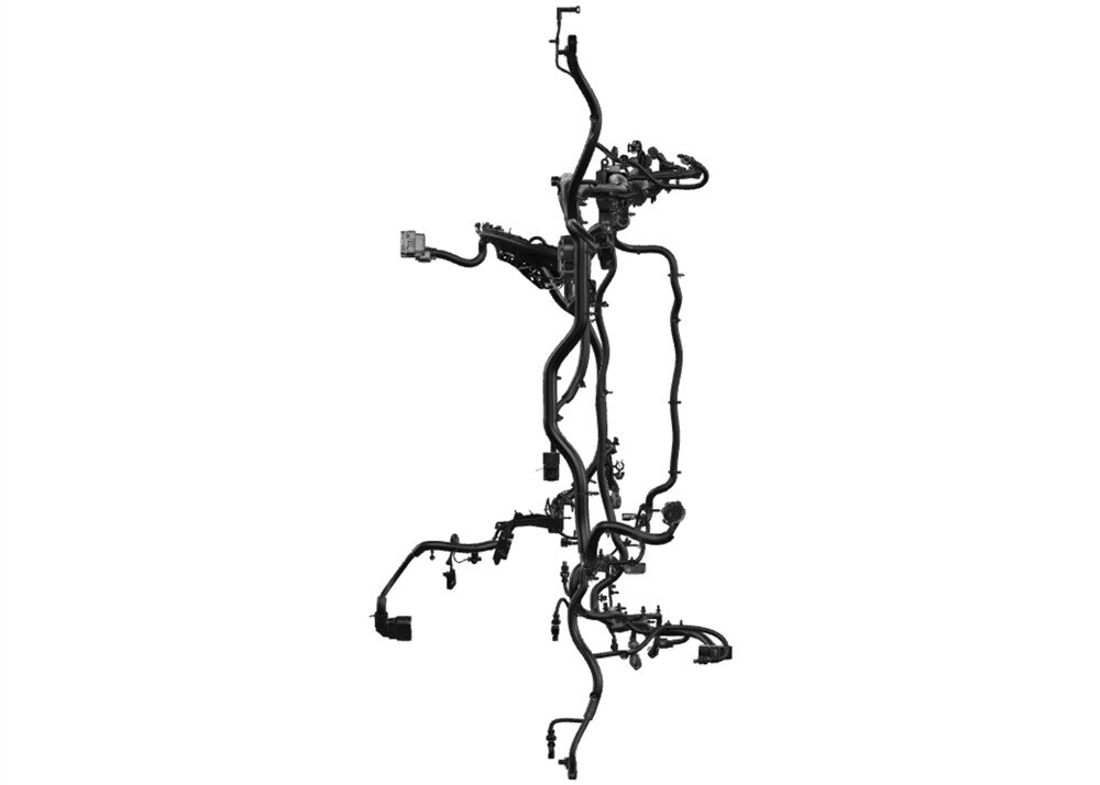 Alternate Image