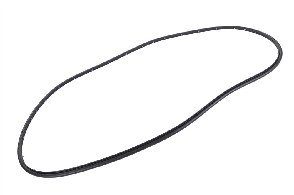 GM Genuine Parts Rear Drivers Side Door Weatherstrip