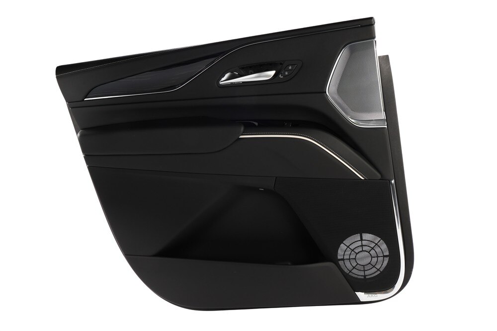 GM Genuine Parts Jet Black Rear Driver Side Door Trim
