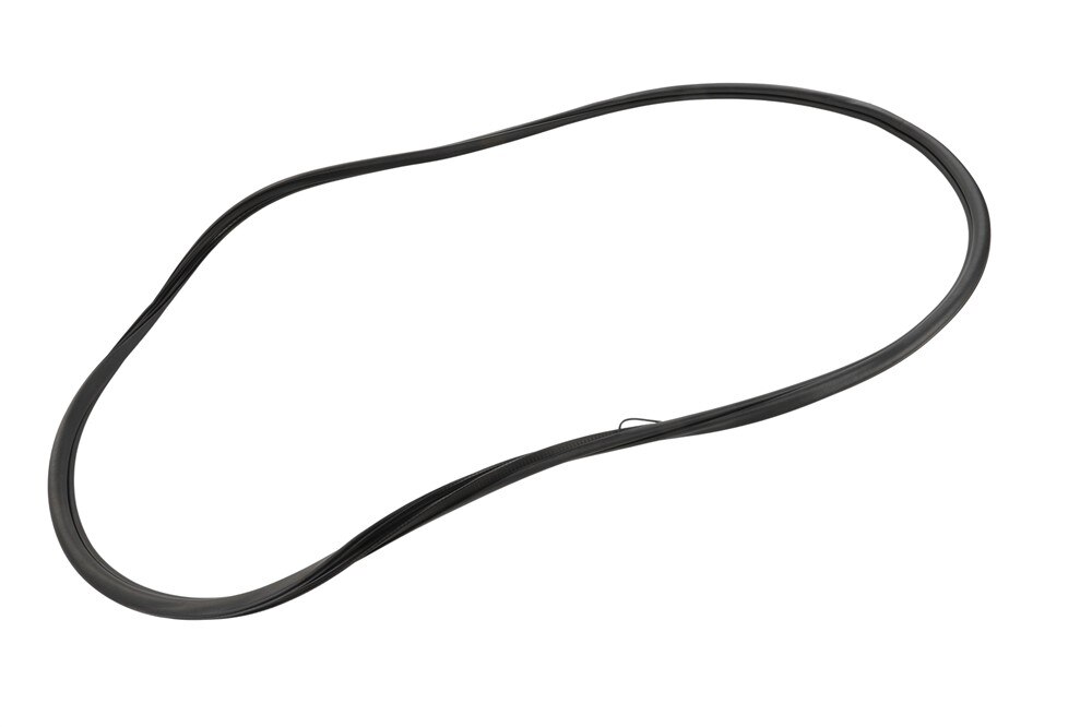 GM Genuine Parts Rear Driver Side Door Weatherstrip
